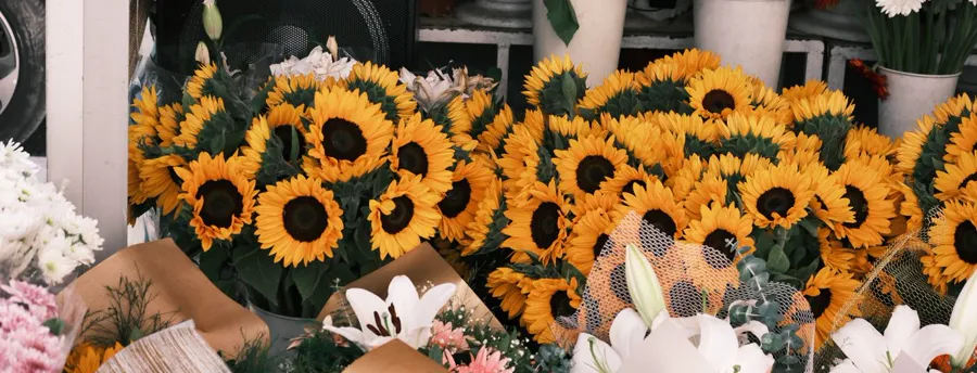 Bouquets de tournesols et de lys chez un fleuriste